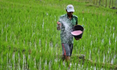 no shortage of chemical fertilizers in chhattisgarh