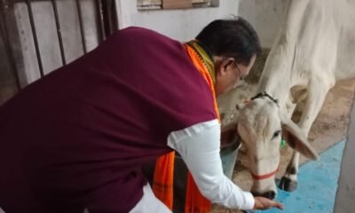 Chhattisgarh: Cow service gives true peace and energy: Chief Minister Vishnu Dev Sai