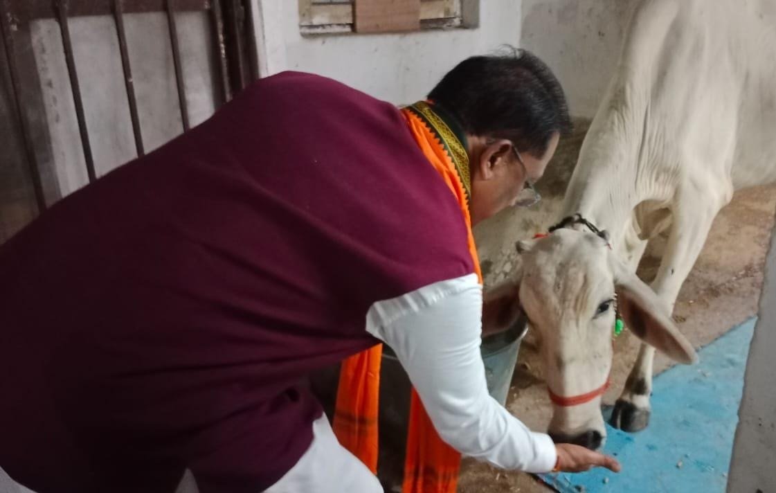 Chhattisgarh: Cow service gives true peace and energy: Chief Minister Vishnu Dev Sai