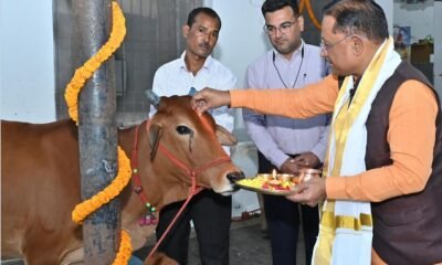 Chhattisgarh: On the occasion of Govardhan Puja, the Chief Minister worshipped cows and wished for the happiness and prosperity of the people of the state