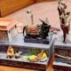 Chhattisgarh's tableau selected for Unity Parade-2025, theme focused on Bastar's development journey