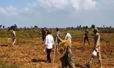 MP News: Ruckus by encroachers in Sheopur, MP, forest workers who went to remove encroachment were attacked