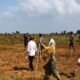 MP News: Ruckus by encroachers in Sheopur, MP, forest workers who went to remove encroachment were attacked