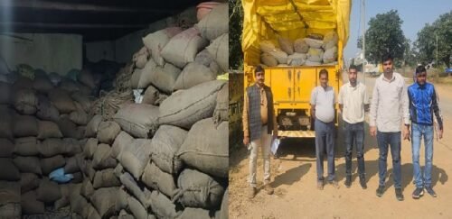 Chhattisgarh: 3,266 quintals of illegal paddy seized in Raigarh, action also taken in Bilaspur district