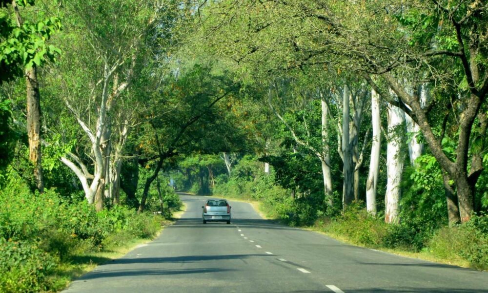 Chhattisgarh gets 774 new roads under PMGSY-IV, rural road connectivity will be strengthened
