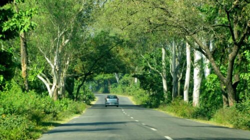 Chhattisgarh gets 774 new roads under PMGSY-IV, rural road connectivity will be strengthened
