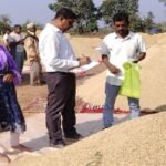 Chhattisgarh: Strict monitoring results in rapid paddy procurement in Dhamtari