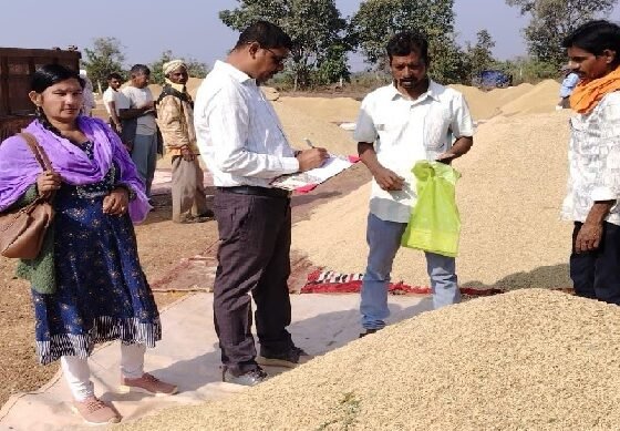Chhattisgarh: Strict monitoring results in rapid paddy procurement in Dhamtari
