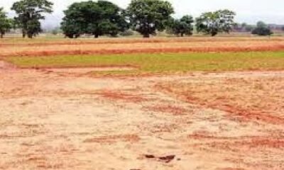 CG Land Guidelines: The government clarified the new guideline rates and said that a simple, scientific and transparent system will be implemented across the state