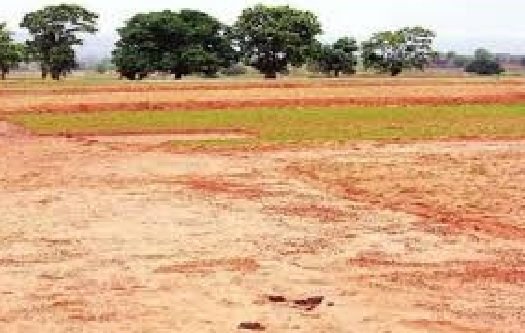 CG Land Guidelines: The government clarified the new guideline rates and said that a simple, scientific and transparent system will be implemented across the state