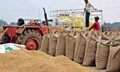 Chhattisgarh: The massive paddy procurement campaign continues at a rapid pace in the state; so far, 22.25 lakh metric tonnes of paddy has been procured