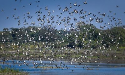 Chhattisgarh: Kopra reservoir becomes Chhattisgarh's first Ramsar site, Chief Minister says - a proud moment for the state
