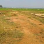 Chhattisgarh: New guidelines on land rates issued in the state, Central Valuation Board seeks proposals from districts for revision by December 31