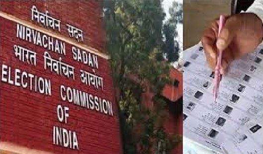 MP SIR: The Election Commission has released the draft voter list for Madhya Pradesh, with 42.74 lakh names removed