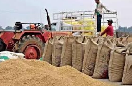 Chhattisgarh: Irregularities in paddy procurement at support price, 31 suspended, FIR registered against 3, one dismissed