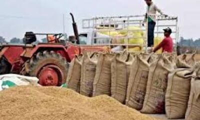 Strict action on paddy procurement in Chhattisgarh: Major crackdown across the state on illegal transportation, storage, and milling