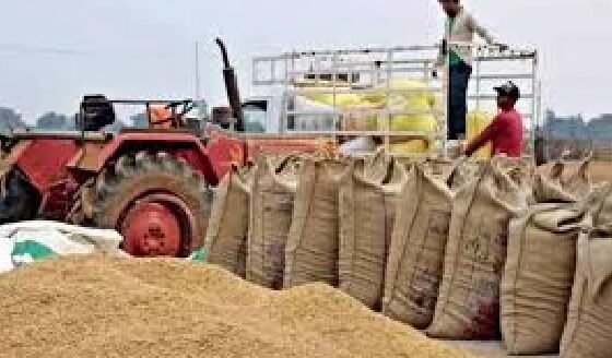 Strict action on paddy procurement in Chhattisgarh: Major crackdown across the state on illegal transportation, storage, and milling