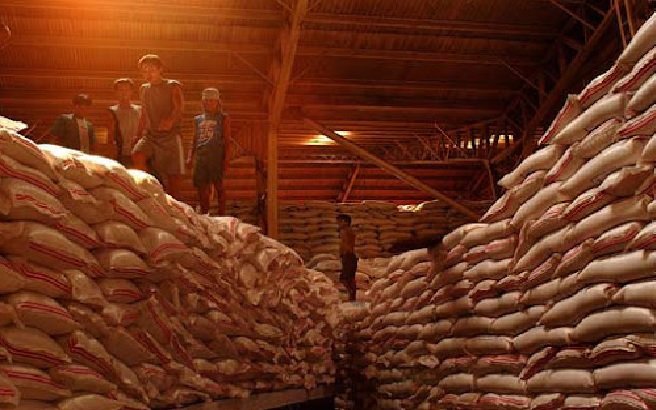 Chhattisgarh: Drying and insect damage during paddy storage are natural processes; the reality is different from the rumors