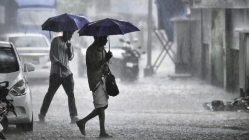 MP Weather: Two active systems in the state, rain and hail in 30+ districts, two and a half inches of water in Gwalior, damage to crops