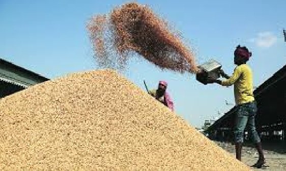 Strict action taken against irregularities in paddy procurement: Action taken over shortage of 53,000 quintals of paddy, officer in charge suspended