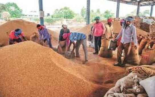 Chhattisgarh: New record in paddy procurement; ₹23,448 crore disbursed to 17.77 lakh farmers till January 13