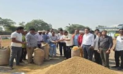 Government's big decision regarding paddy procurement: 2 days extra relief to farmers on the instructions of CM Vishnudev Sai