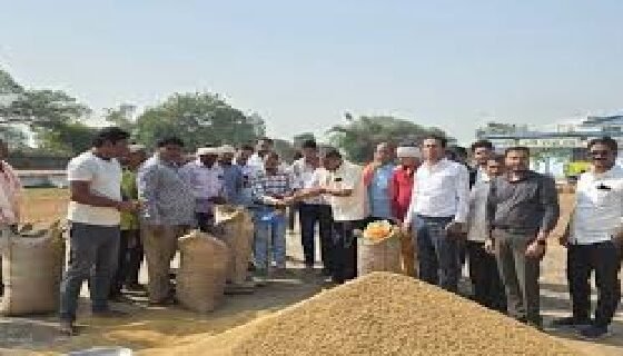Government's big decision regarding paddy procurement: 2 days extra relief to farmers on the instructions of CM Vishnudev Sai