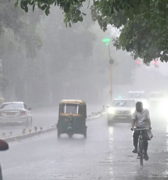 MP Weather Alert, MP Rain Forecast 2026, Gwalior Chambal Weather, Thunderstorm Alert MP
