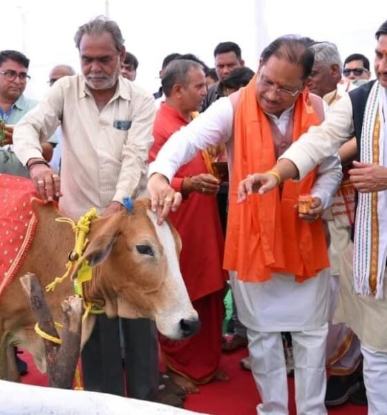 chhattisgarh gaudham yojana, vishnu deo sai gaudham launch, surabhi gaudham chhattisgarh, cow protection scheme cg, bilaspur lakhasar gaudham news