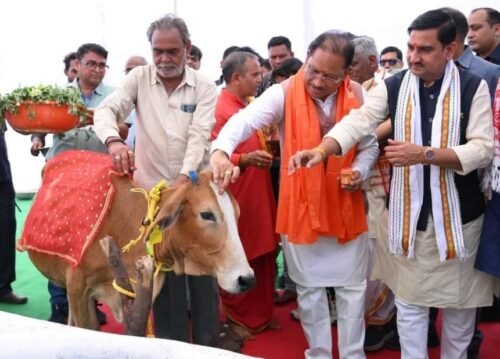 chhattisgarh gaudham yojana, vishnu deo sai gaudham launch, surabhi gaudham chhattisgarh, cow protection scheme cg, bilaspur lakhasar gaudham news