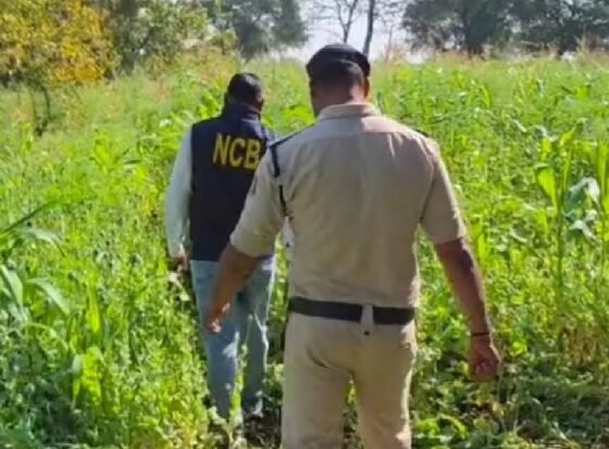 Raipur, chhattisgarh opium cultivation case, illegal opium farming cg, vishnu deo sai action drugs, durg opium cultivation raid