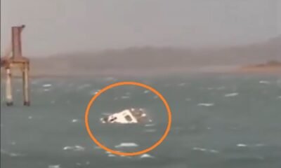 boat accident jabalpur, bargi dam cruise accident, madhya pradesh news, narmada river cruise, cruise sinking news