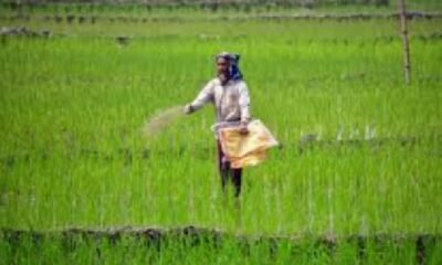 Kharif 2026 fertilizer, Ramvichar Netam news, fertilizer shortage India, agriculture news Chhattisgarh, urea DAP NPK stock, farmer fertilizer supply