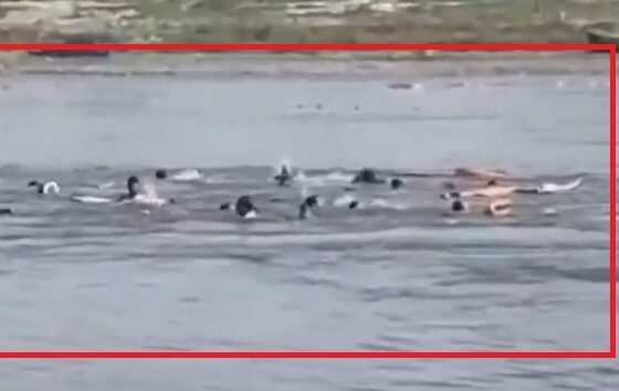 Vrindavan boat accident, Mathura Yamuna accident, UP boat tragedy, rescue operation Yamuna, boat capsize news India, Vrindavan news update, pilgrims accident India