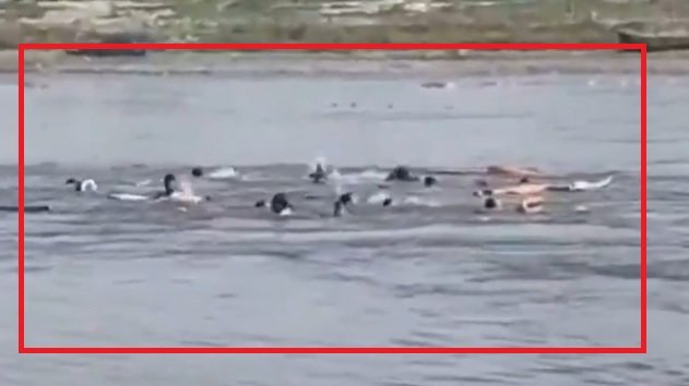 Vrindavan boat accident, Mathura Yamuna accident, UP boat tragedy, rescue operation Yamuna, boat capsize news India, Vrindavan news update, pilgrims accident India