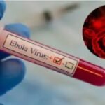 Congo Ebola Outbreak, Ebola Virus, WHO Global Health Emergency, Ituri Province, Bundibugyo Strain, Samuel Roger Kamba, Bunia, Ebola Deaths, Africa Health Crisis, World News