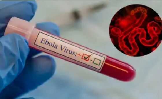 Congo Ebola Outbreak, Ebola Virus, WHO Global Health Emergency, Ituri Province, Bundibugyo Strain, Samuel Roger Kamba, Bunia, Ebola Deaths, Africa Health Crisis, World News