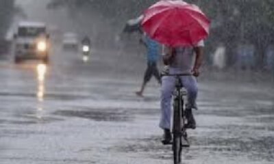 एमपी मौसम अपडेट, मध्य प्रदेश बारिश, MP weather news, rain alert in mp, भोपाल मौसम, ग्वालियर बारिश, ओलावृष्टि, thunderstorm in mp, IMD alert, मध्य प्रदेश आंधी, weather update mp, मई मौसम अपडेट, western disturbance, hailstorm news, mp rain alert