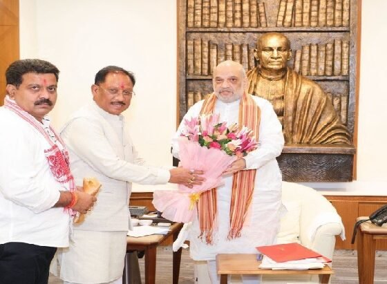 Chhattisgarh AIIA, Vishnu Deo Sai, Amit Shah, All India Institute of Ayurveda, Ayurveda Institute Chhattisgarh, Chhattisgarh News