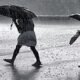 Chhattisgarh Monsoon,Chhattisgarh Weather,Monsoon Update Chhattisgarh,Rain Alert Chhattisgarh,CG Weather News,Monsoon 2026
