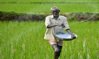 #Chhattisgarh #Farmers #Kharif2026 #Urea #Agriculture #JanjgirChampa #VishnuDeoSai #KhabriTaau