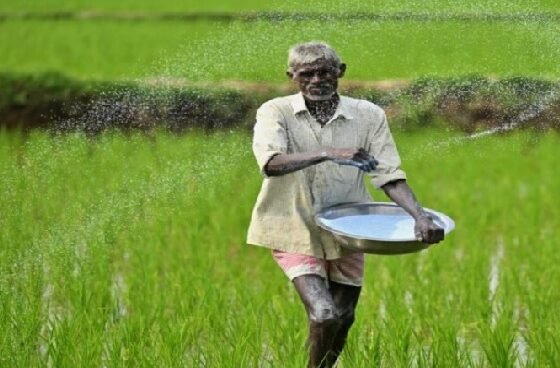 #Chhattisgarh #Farmers #Kharif2026 #Urea #Agriculture #JanjgirChampa #VishnuDeoSai #KhabriTaau