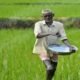 #Chhattisgarh #Farmers #Kharif2026 #Urea #Agriculture #JanjgirChampa #VishnuDeoSai #KhabriTaau