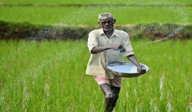 #Chhattisgarh #Farmers #Kharif2026 #Urea #Agriculture #JanjgirChampa #VishnuDeoSai #KhabriTaau