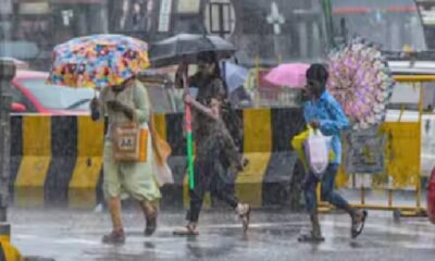 MP Weather Update, Madhya Pradesh Rain Alert, MP Rain News, Pre Monsoon Activity, Thunderstorm Alert, Hailstorm Alert, Gwalior Weather, Bhopal Weather, Khajuraho Temperature, MP Monsoon Update