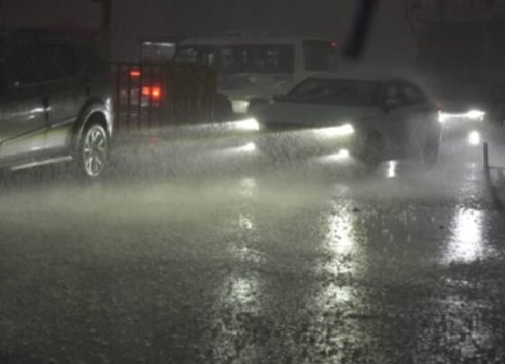 MP Monsoon 2026, Madhya Pradesh Rain Alert, Monsoon Entry MP, Weather Update MP, Bhopal Rain News, IMD Alert, MP Weather News