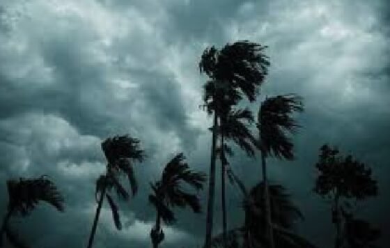 मानसून 2026, केरल मानसून, IMD मौसम अपडेट, बारिश अलर्ट