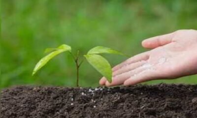 Nano DAP,Nano Urea,Chhattisgarh Agriculture, Vishnu Deo Sai,Farmers News,Nano Fertilizer