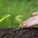 Nano DAP,Nano Urea,Chhattisgarh Agriculture, Vishnu Deo Sai,Farmers News,Nano Fertilizer