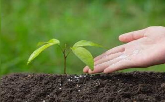 Nano DAP,Nano Urea,Chhattisgarh Agriculture, Vishnu Deo Sai,Farmers News,Nano Fertilizer